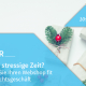 Beitragsbild Webinar Weihnachten