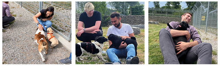 Charity Day im Tierheim München