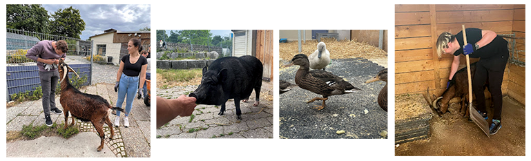 Charity Day im Tierheim München