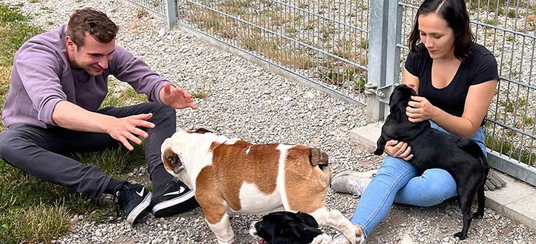 Tierisch engagiert – trbo im Tierheim Riem bei München